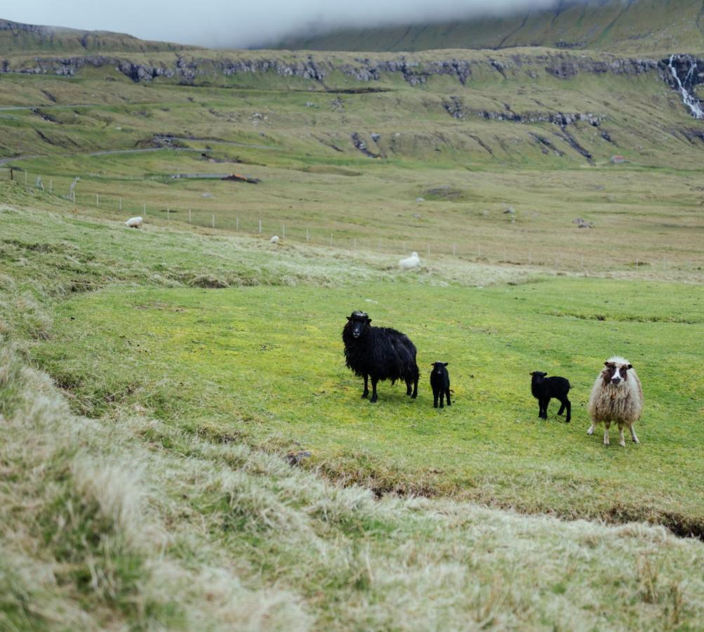 Authentic Faroese House / Unique Location / Nature Hellurnar Exterior foto